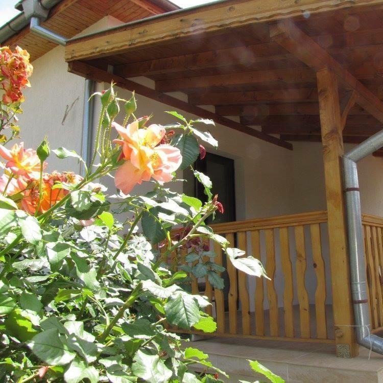 Guest House Vergie Sapareva Banya Exterior foto